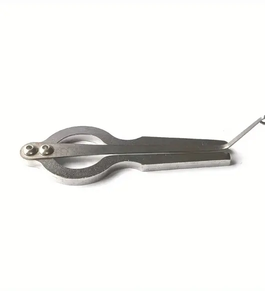 Jew's Harp Musical Instrument